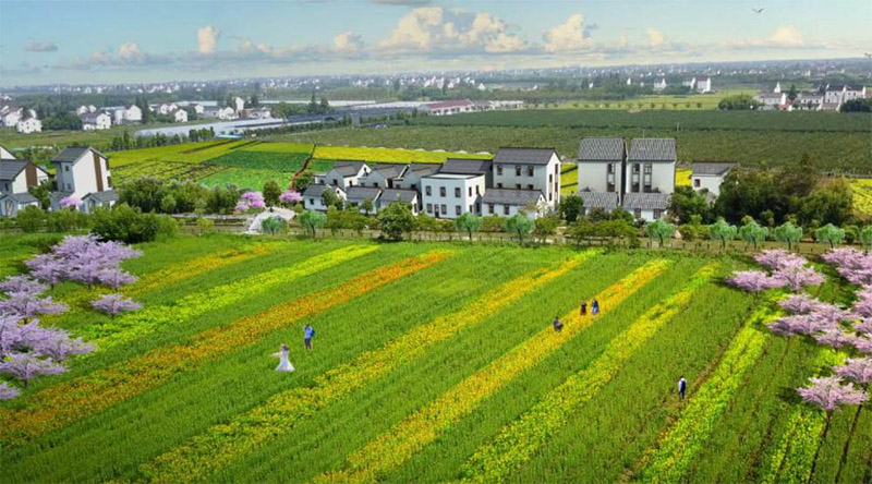 广东陆丰田园综合体旅游路线景观概念设计.jpg